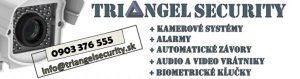 triangel security system